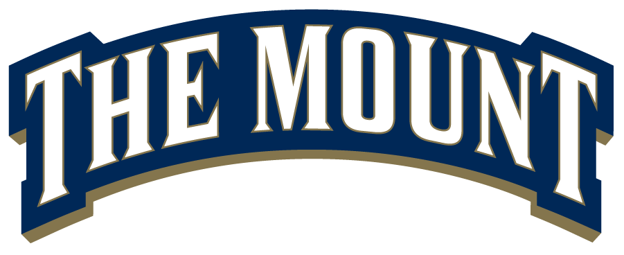 Mount St. Marys Mountaineers 2016-Pres Wordmark Logo v2 diy DTF decal sticker